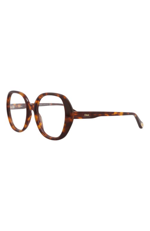 Chloé 51mm Square Optical Glasses In Brown