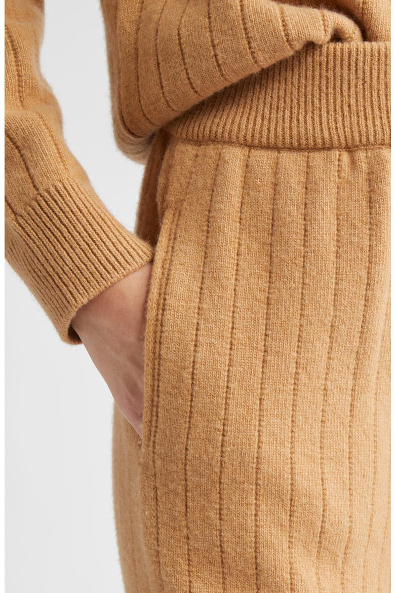 Wool & Cashmere Wide Leg Pants, Alternate, color, 04 CAMEL