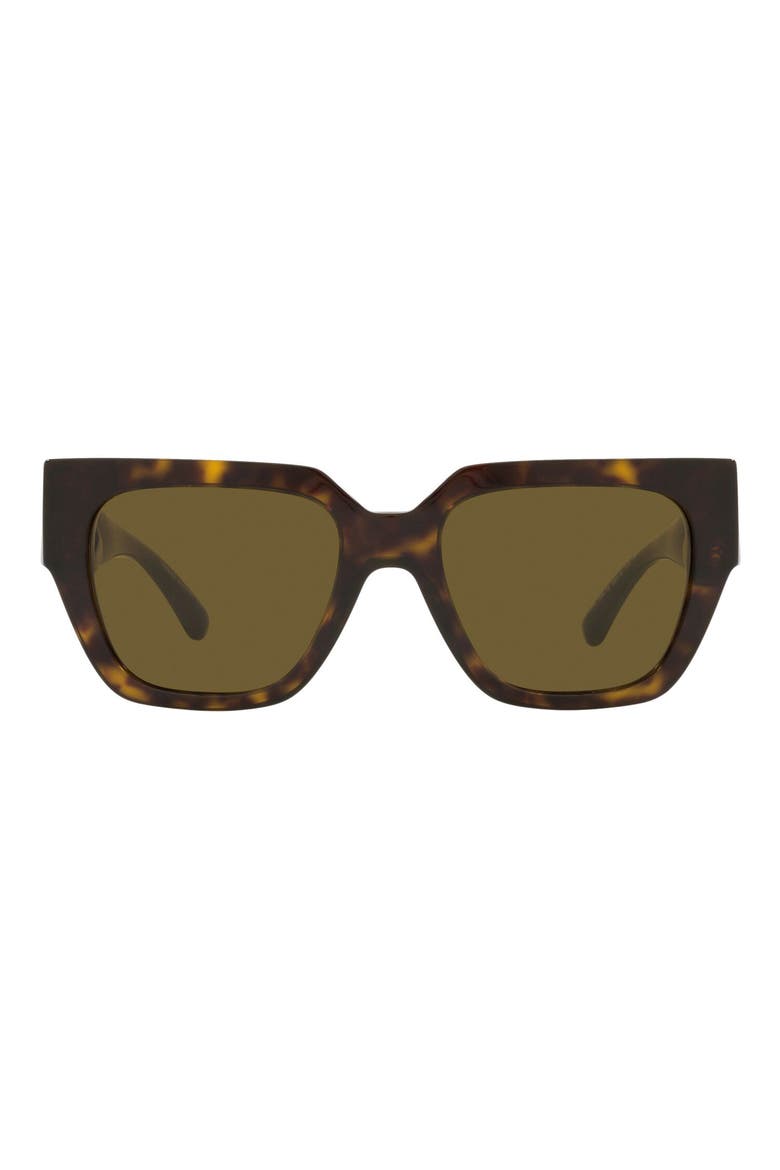 53mm Square Sunglasses, Main, color, DARK HAVANA / DARK BROWN
