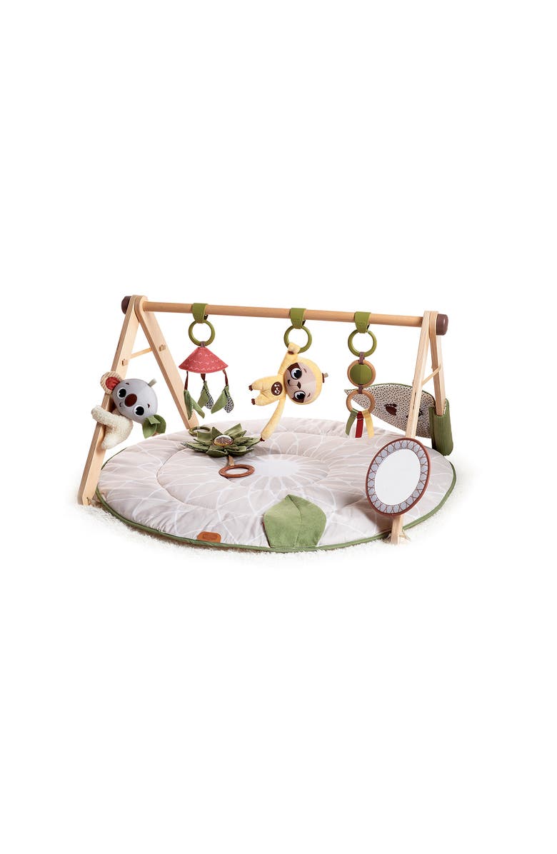 TINY LOVE Luxe Developmental Gymini, Main, color,