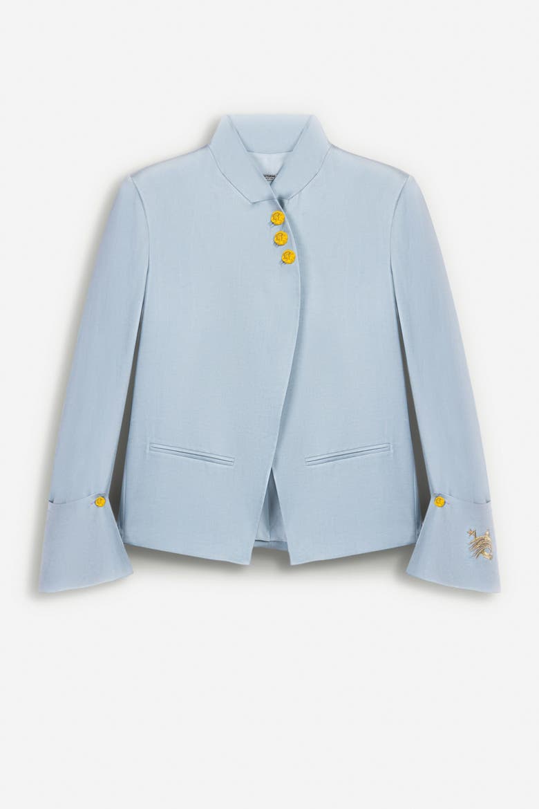 Embroidery Detail Jacket, Alternate, color, Blue