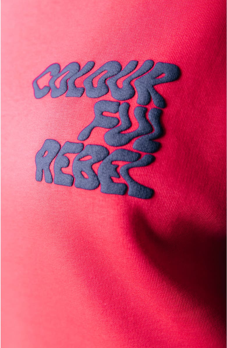 Colourful Rebel Logo Wave Relaxed Sweat, Alternate, color, Red