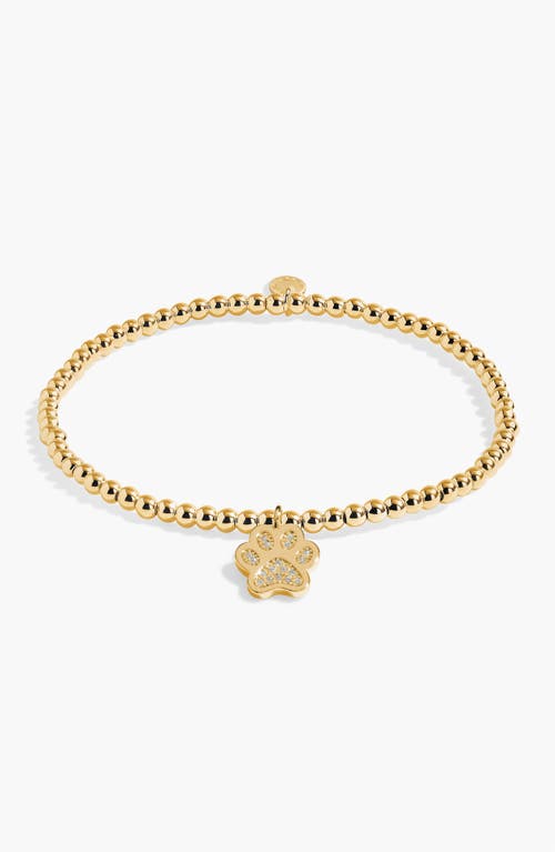 A Littles & Co. A Littles & Co A Little 'love Has Four Paws' Bracelet In Gold