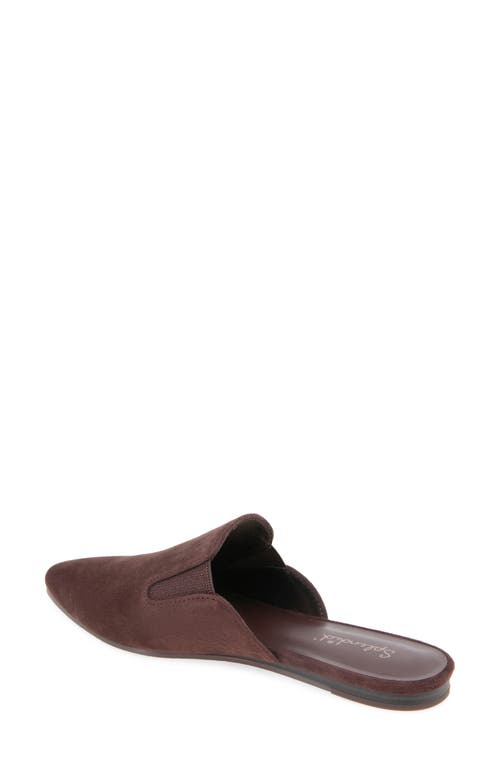 Splendid Liza Mule In Burgundy