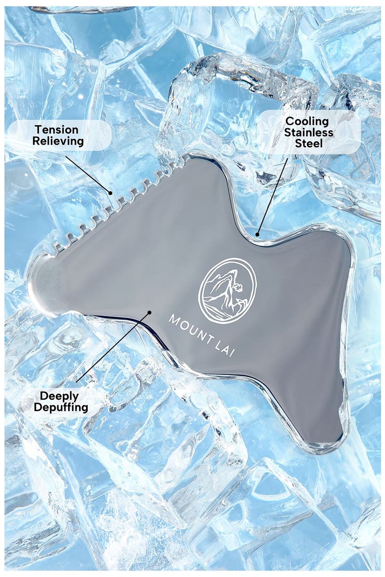 Vitality QI Stainless Steel Gua Sha Contour Tool, Alternate, color, SILVER