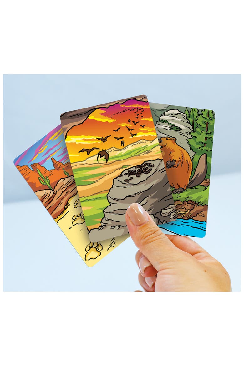 Jr. Ranger Poop Tracks Card Game, Alternate, color, Multicolor