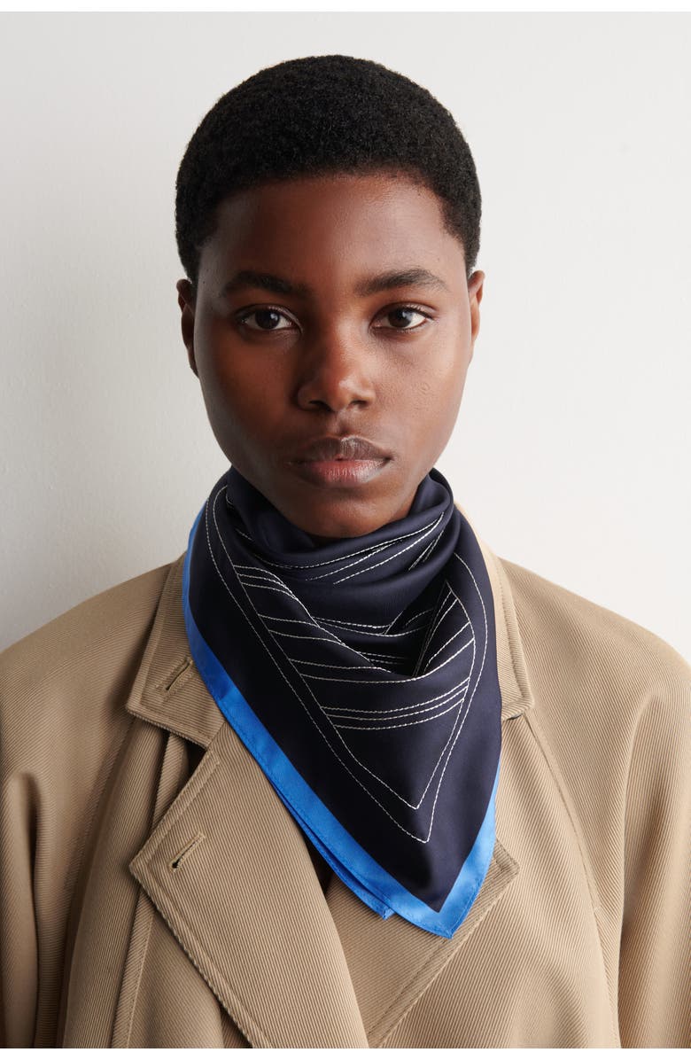 COS Embroidered Silk Scarf, Main, color, 