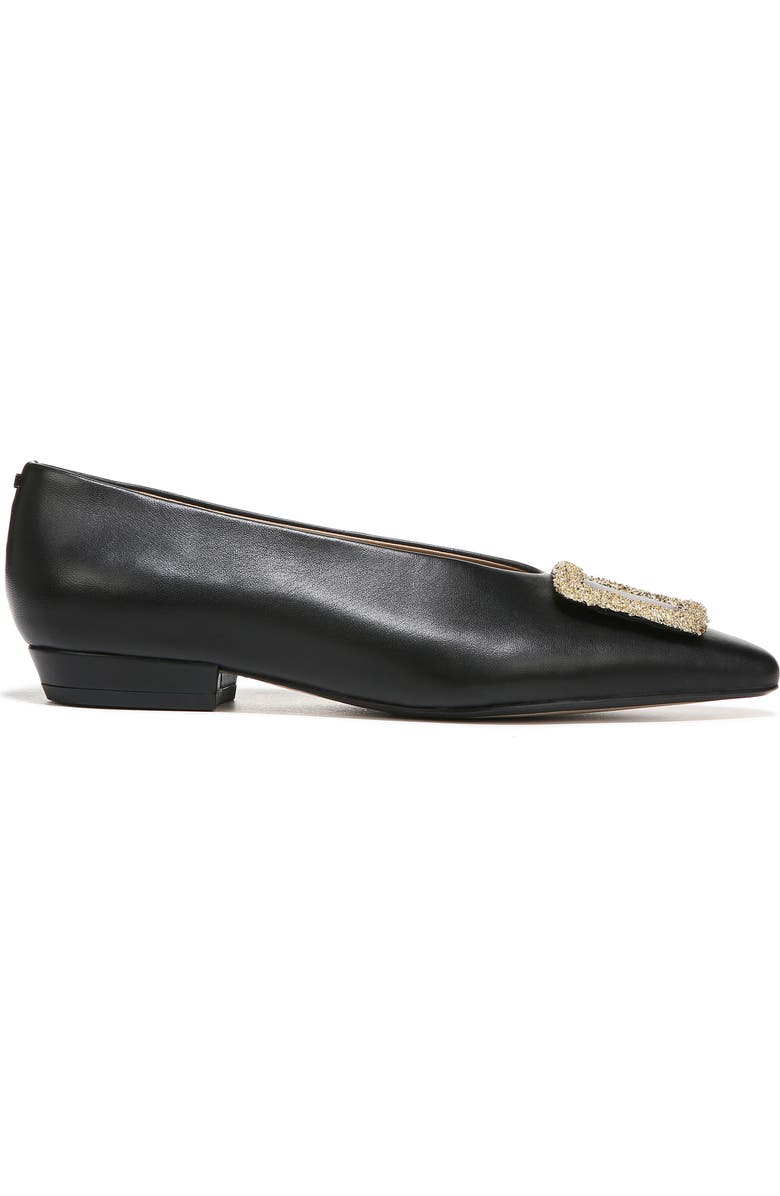 Sam Edelman Janina Pointed Toe Flat, Alternate, color,
