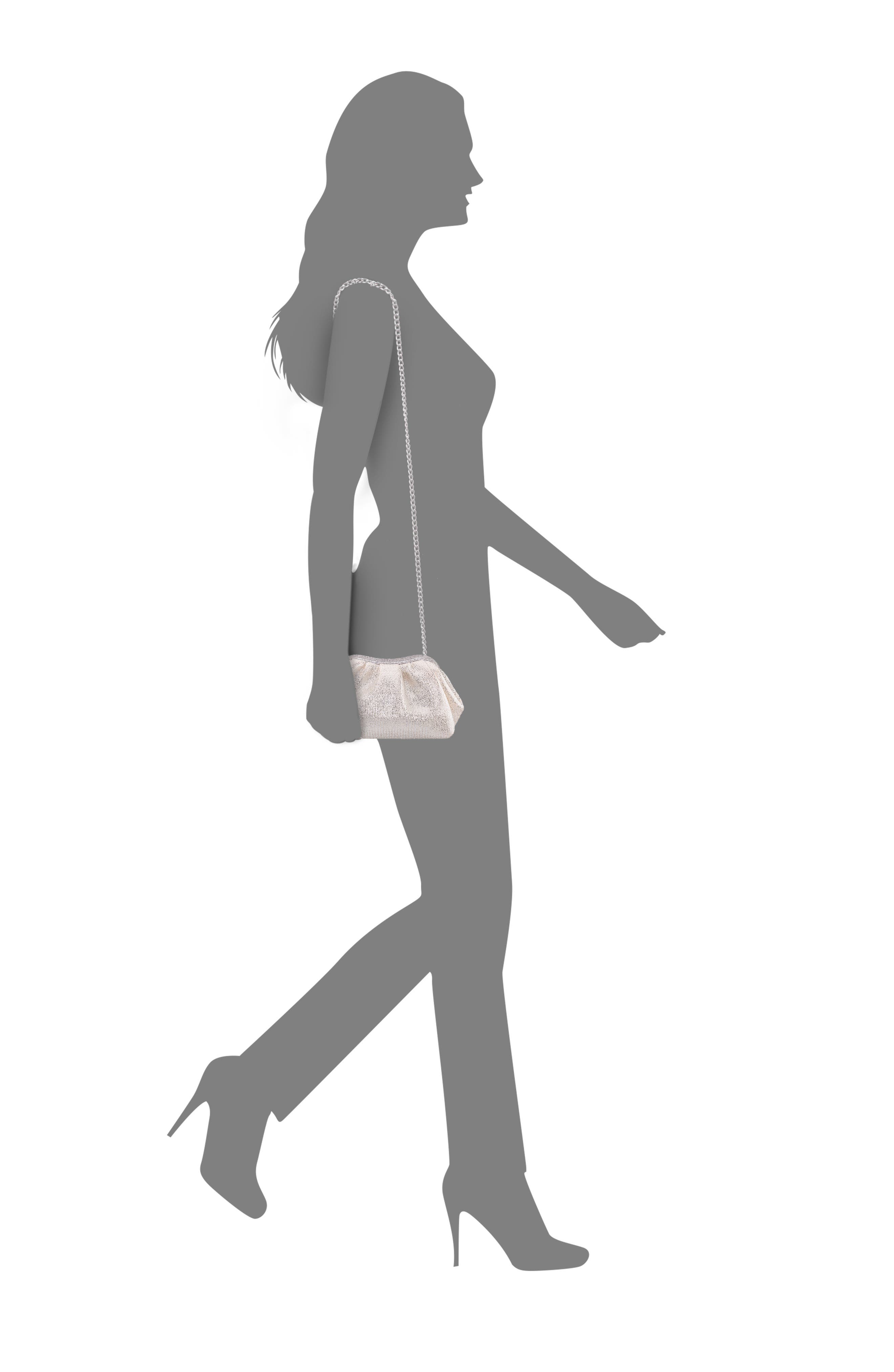 Nina Zayla Frame Clutch, Alternate, color, Silver