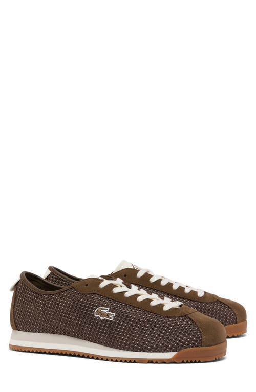 Lacoste Club Low Sneaker in Brown/off White at Nordstrom, Size 8