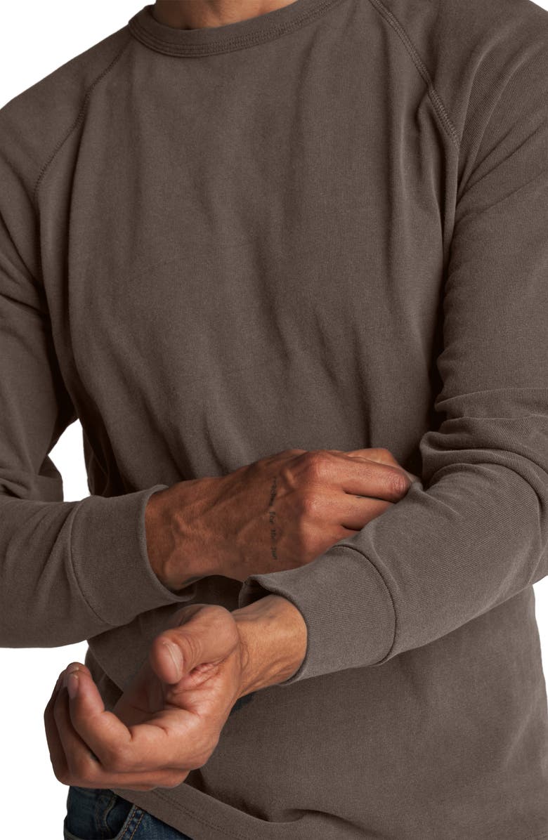 Rowan Maxwell Raglan Sleeve T-Shirt, Alternate, color, Brown