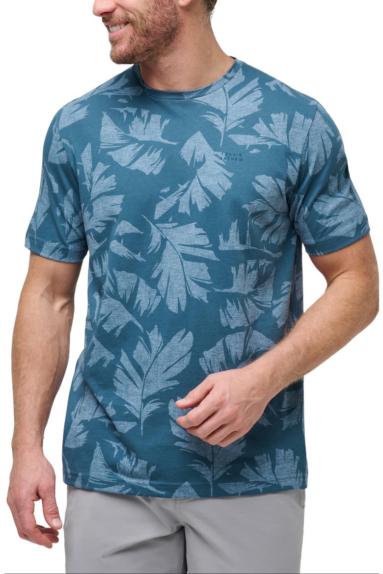 Travel Tip Leaf Print T-Shirt, Main, color, LIGHT TEAL