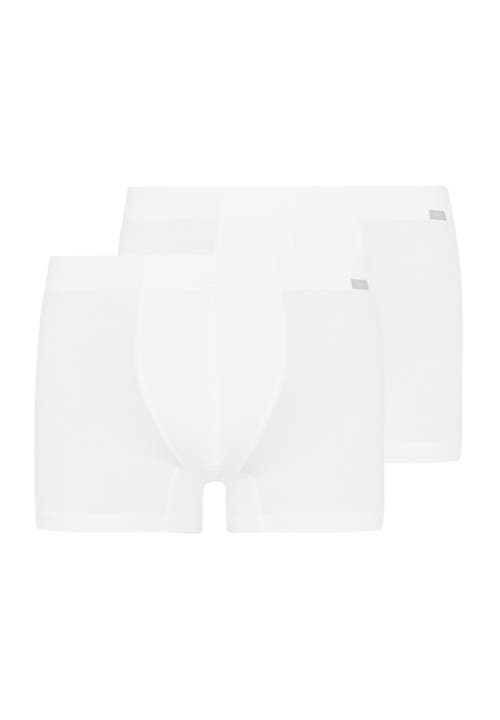 Hanro 2-pack Cotton Boxer Briefs With Covered Waistband In White