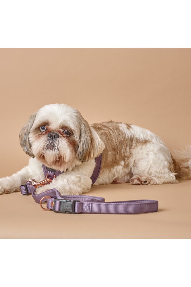 3-in-1 City Dog Leash, Alternate, color, Lilac Gray - Small