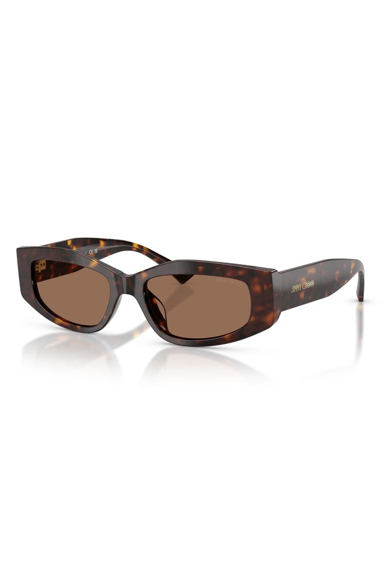 Jimmy Choo 53mm Irregular Sunglasses, Alternate, color, Havana / Dark Brown