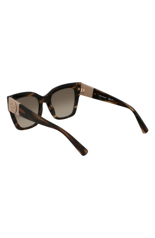 Longchamp Medallion 52mm Modified Rectangular Sunglasses In Striped Green