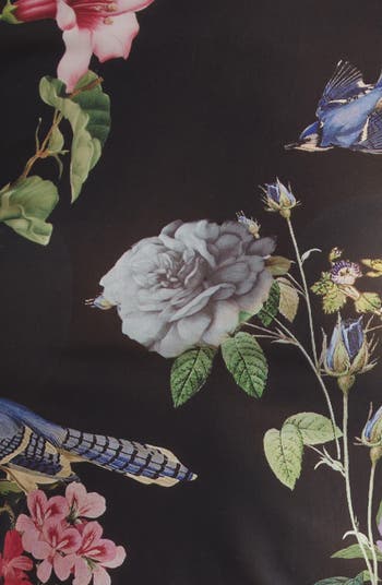 Delaina Sheer Mesh Crop Top