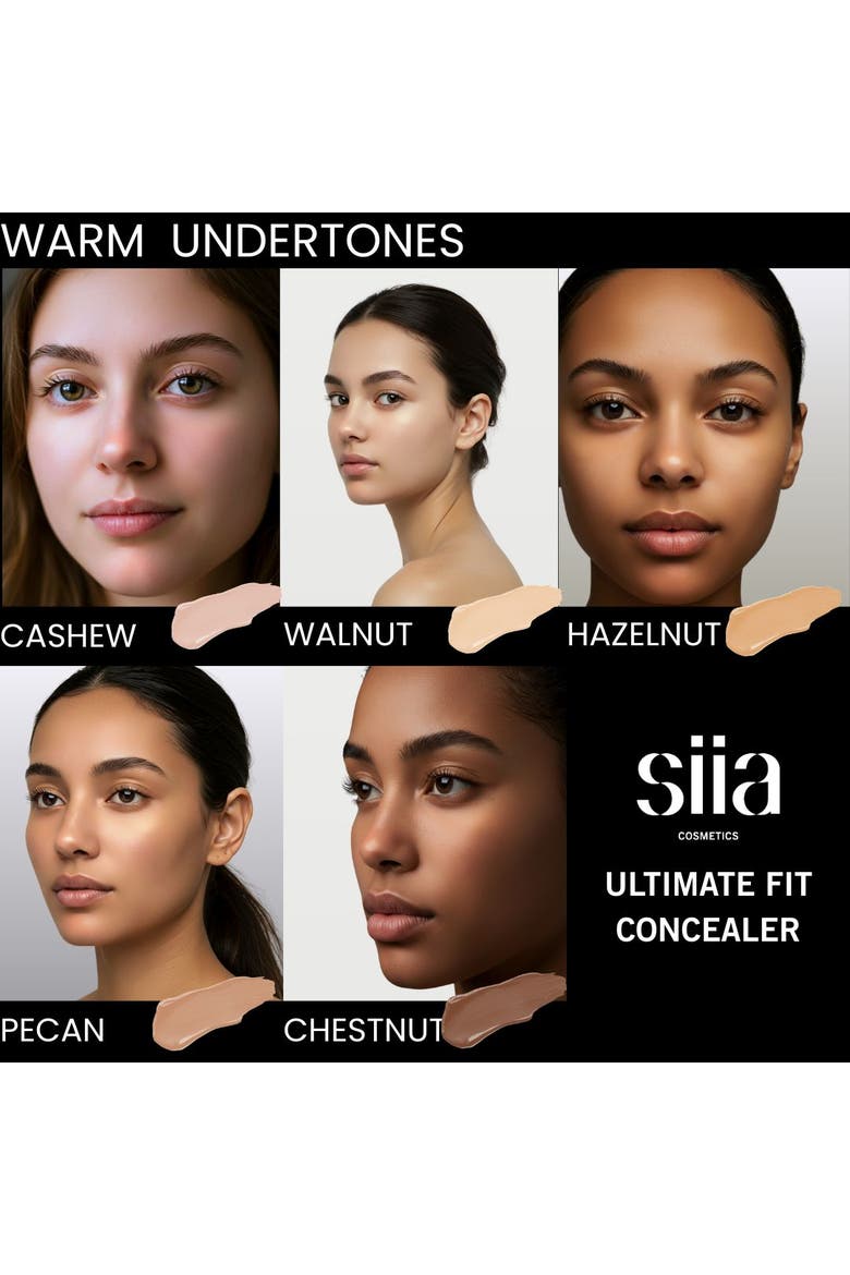 Ultimate Fit Concealer, Alternate, color, CHESTNUT