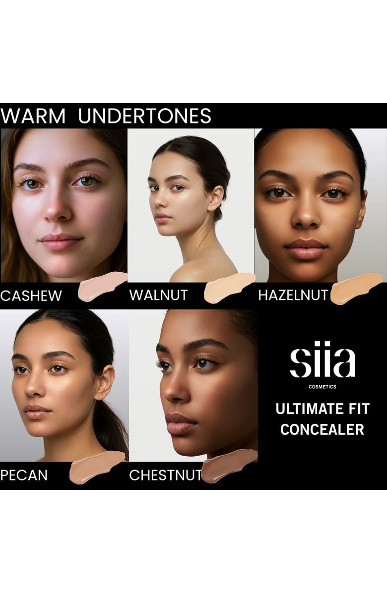 Siia Cosmetics Ultimate Fit Concealer, Alternate, color, Pecan