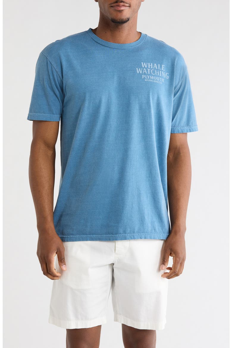 Plymouth Whale Watching Graphic T-Shirt, Main, color, BLUE