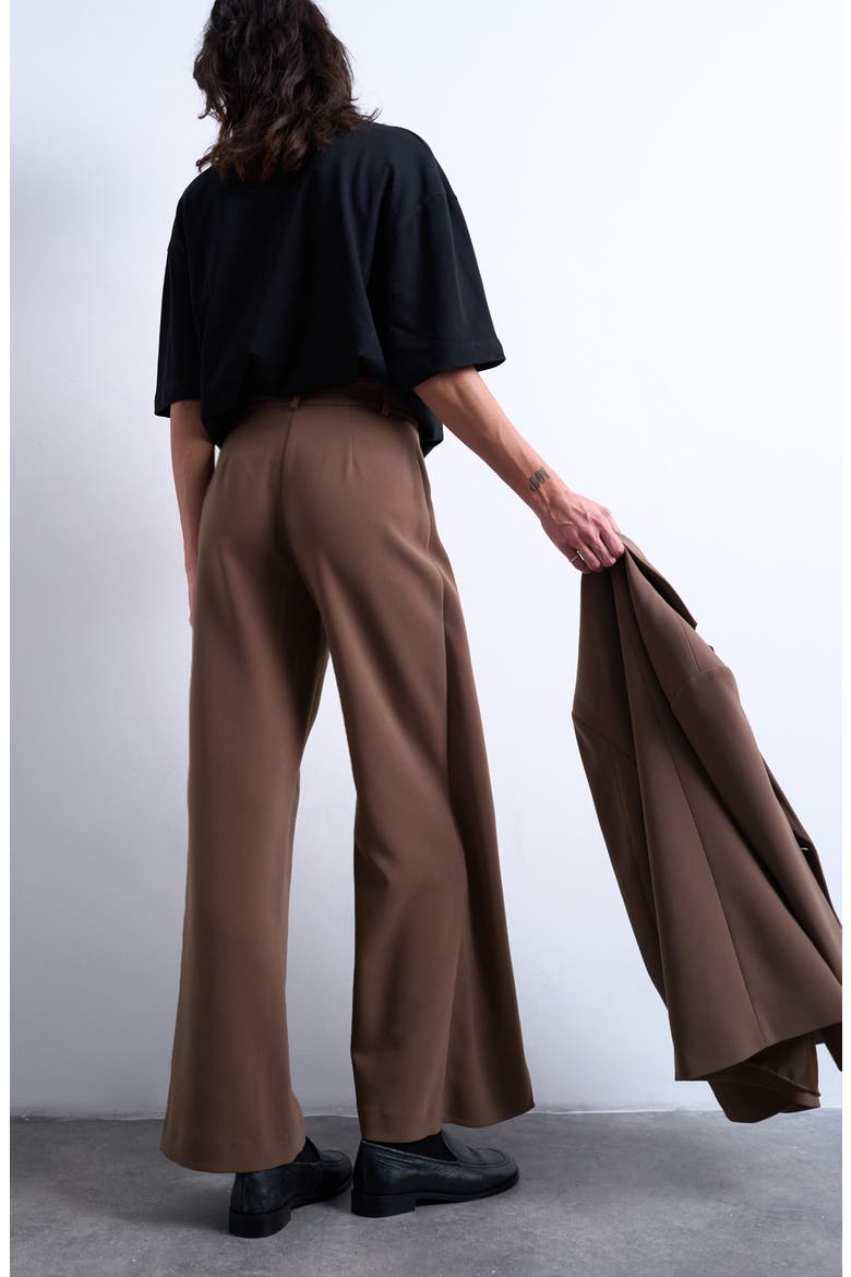 Pleated Volume Wide Leg Pants, Alternate, color, TAUPE