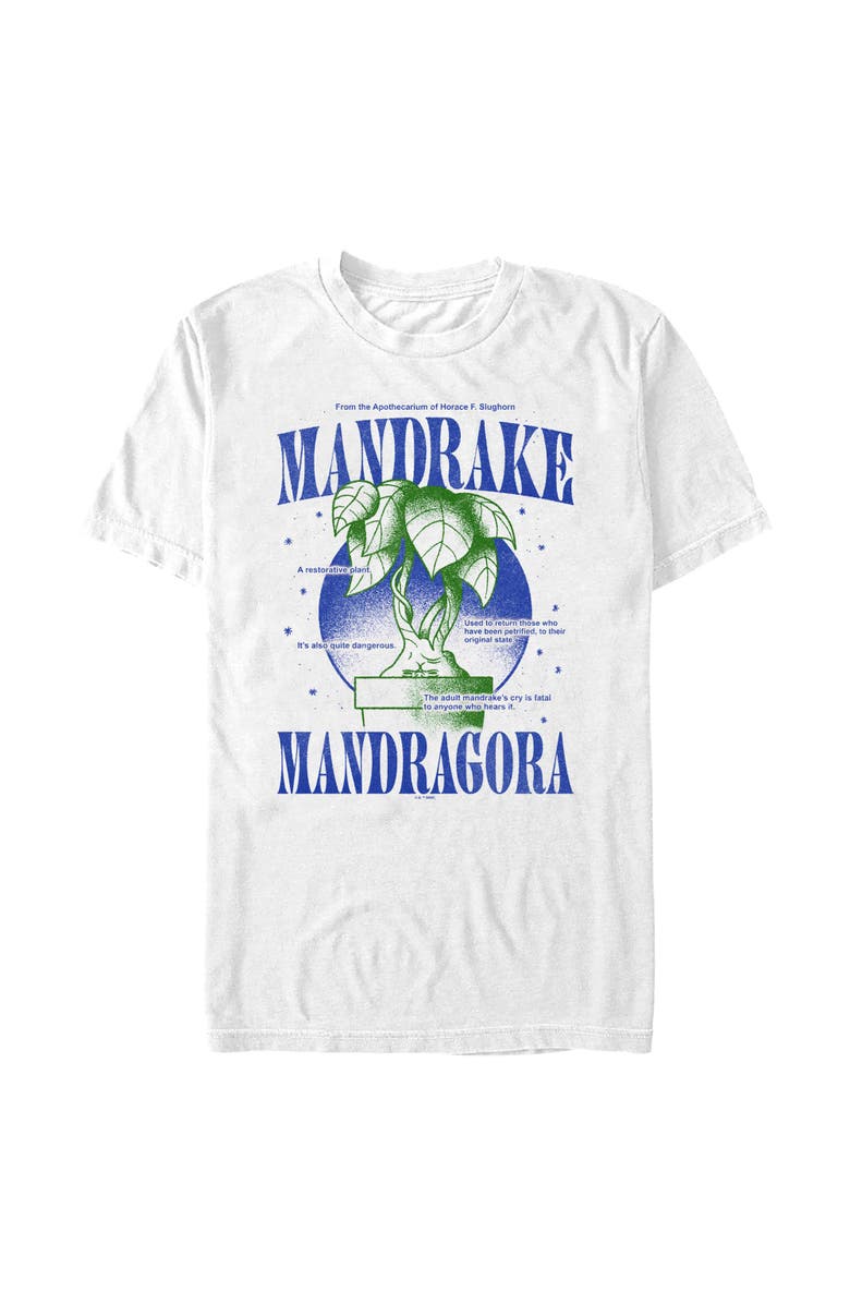 HARRY POTTER Men's Harry Potter Mandrake Mandragora Graphic T-Shirt, Alternate, color, White