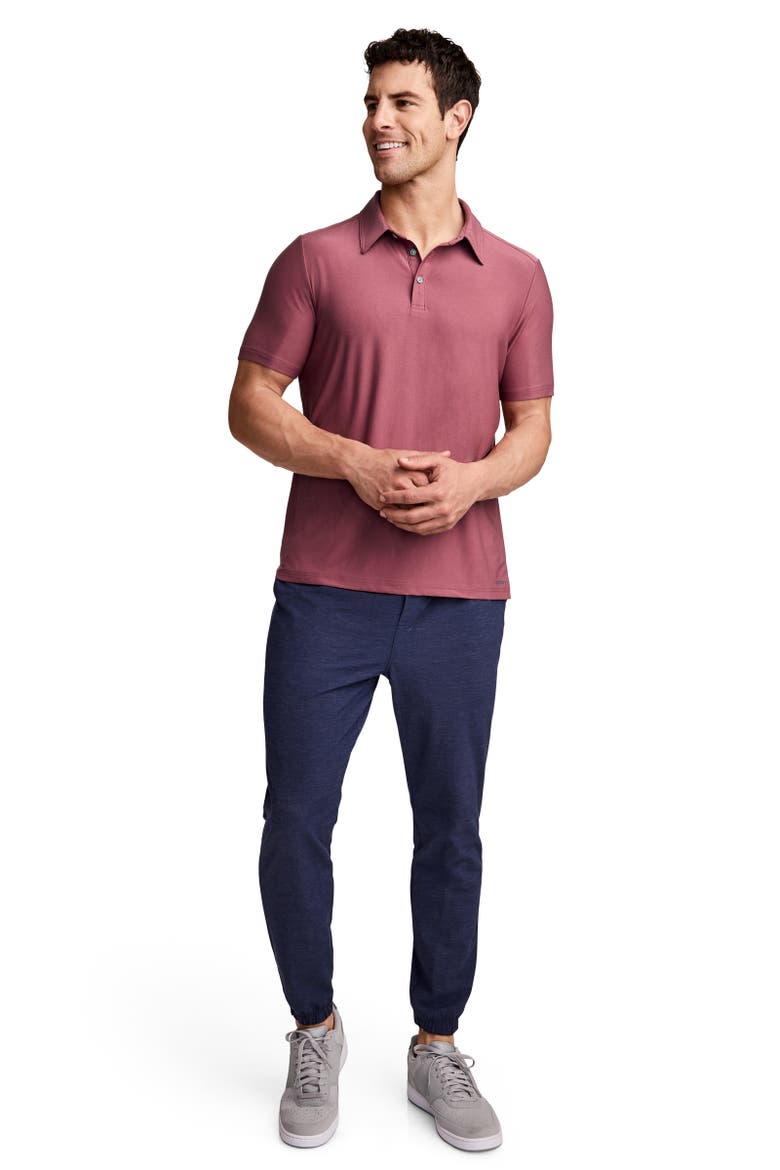 Mens EverActive Polo, Alternate, color, Dusty Mauve
