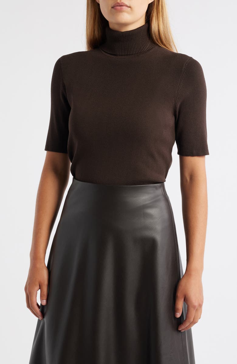 Anne Klein Short Sleeve Turtleneck Sweater, Main, color, 