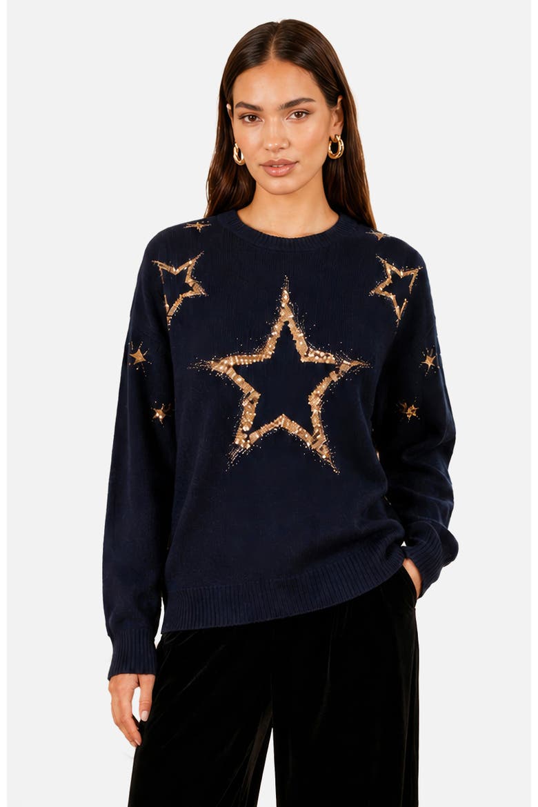 Star Sequin Relaxed Jumper, Main, color, Navy