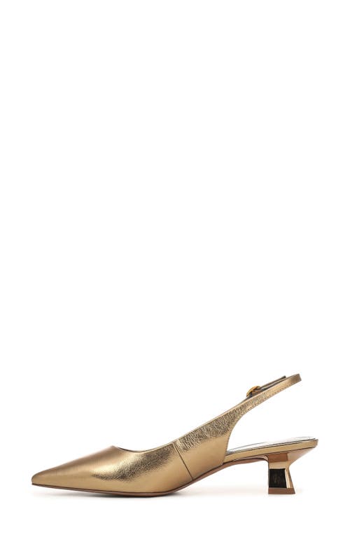 Franco Sarto Jaden Pointed Toe Slingback Pump In Brown
