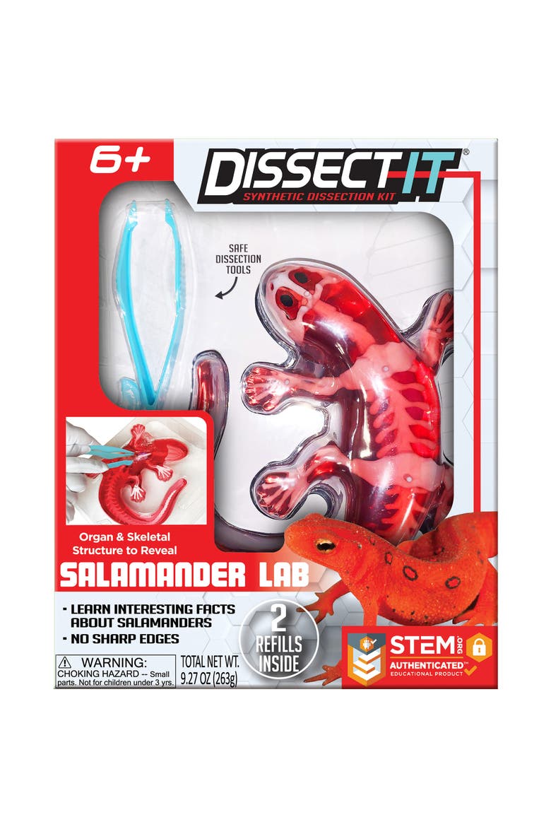 Dissect It Salamander Lab Synthetic Dissection Kit, Main, color, Multicolored