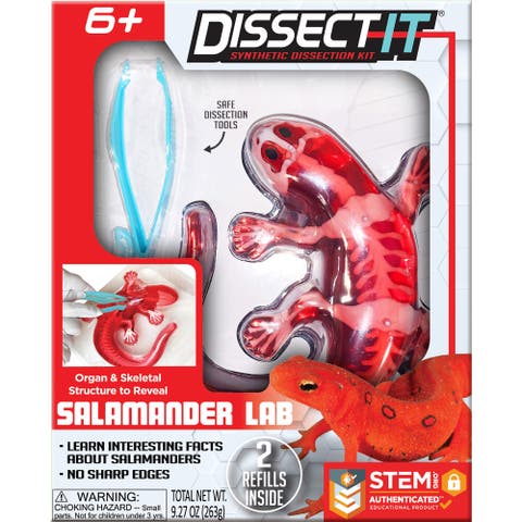Dissect It Salamander Lab Synthetic Dissection Kit
