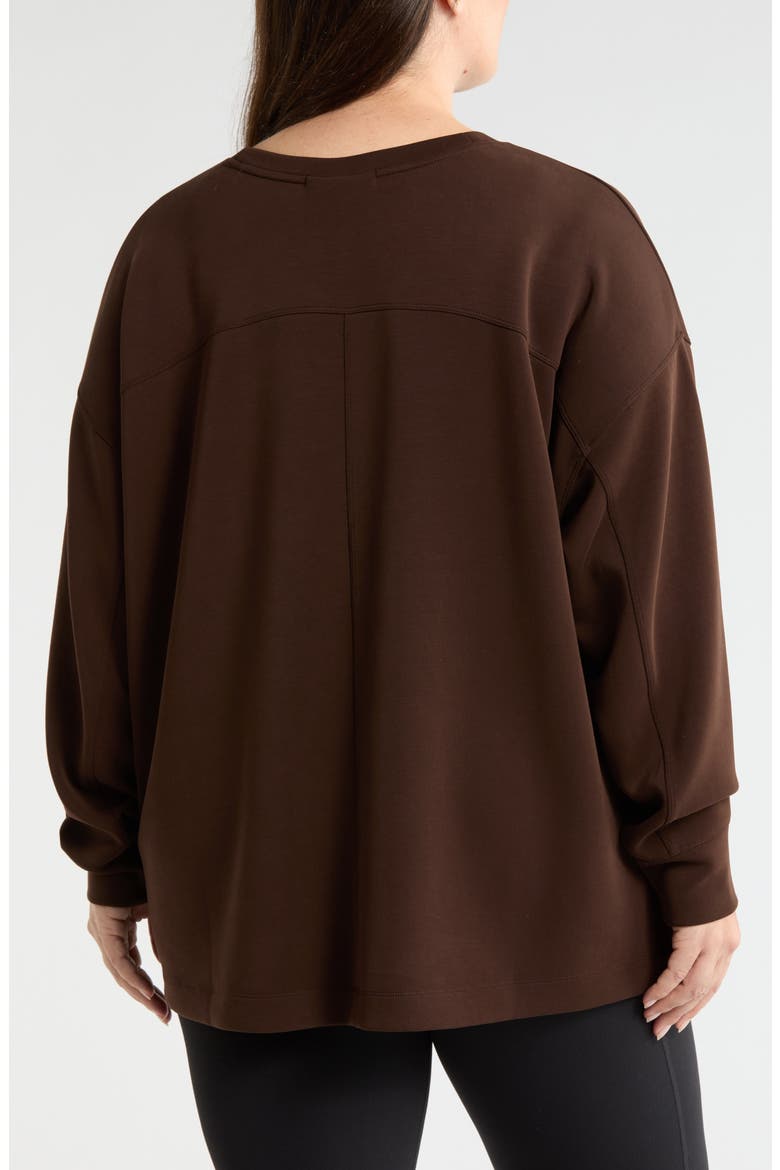 Soft Luxe Tunic, Alternate, color, BROWN MOLE