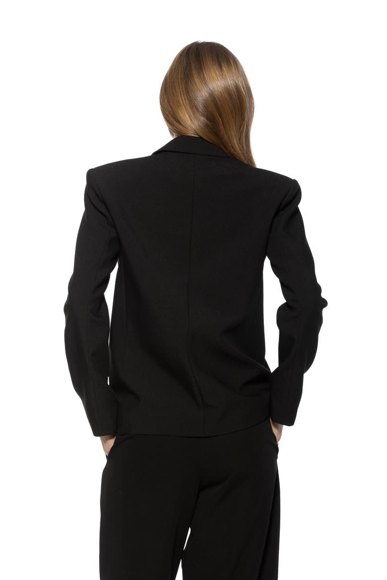 Noa Boyfriend Blazer, Alternate, color, Black