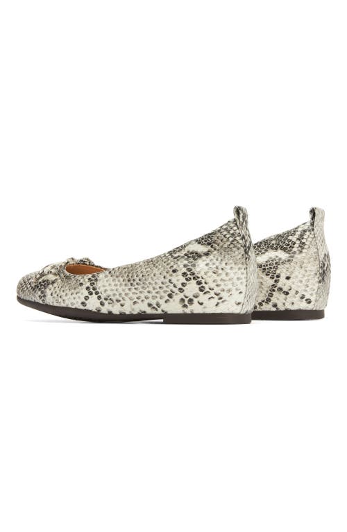 Abeo Cadence Bow Ballet Flat In Snake Print - Regular