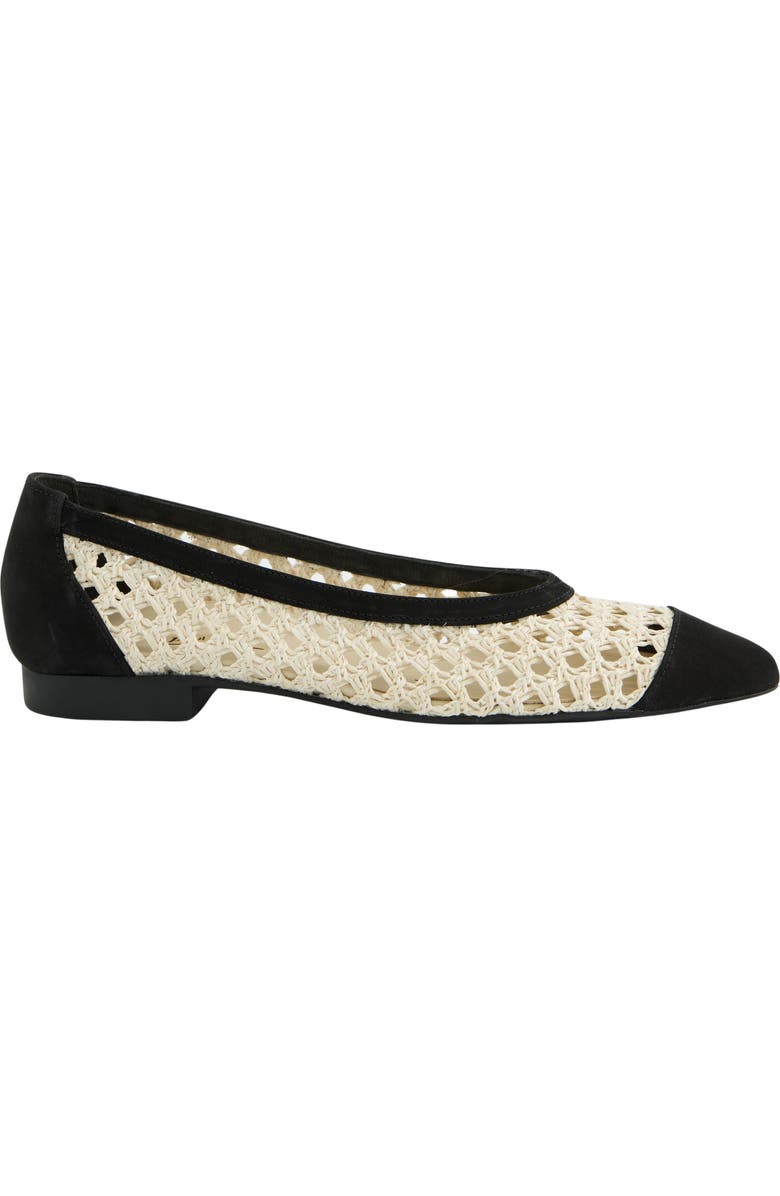 Paul Green Daisy Pointed Toe Flat, Alternate, color, Black Nature Diva Nubuk
