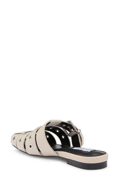 Shop Steve Madden Ladera Mule In Bone Leather