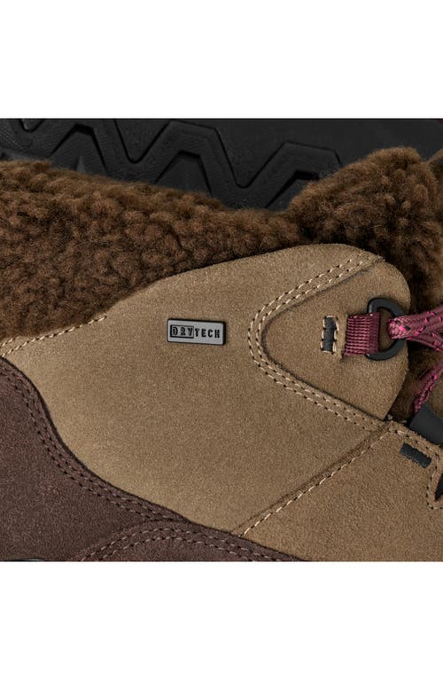 Ugg(r) Terretrail Cozy Winter Boot In Brown