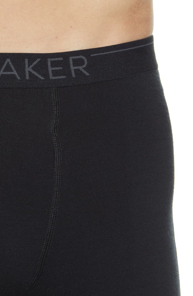Icebreaker 200 Oasis Merino Wool Jersey Base Layer Leggings, Alternate, color, 