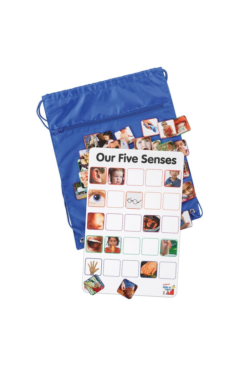 Our Five Senses Interactive Game, Main, color, Multicolor