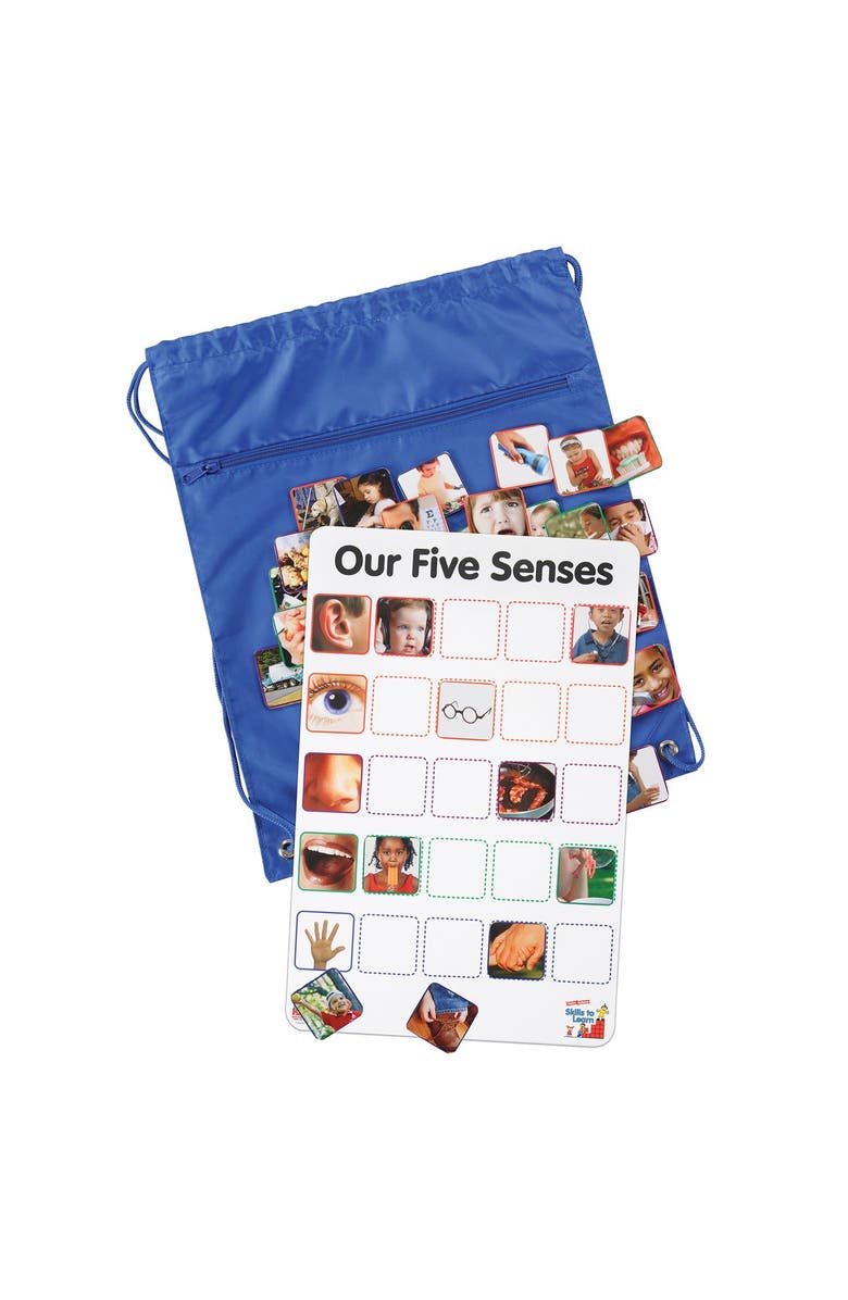 Kaplan Early Learning Company Our Five Senses Interactive Game, Main, color, Multicolor