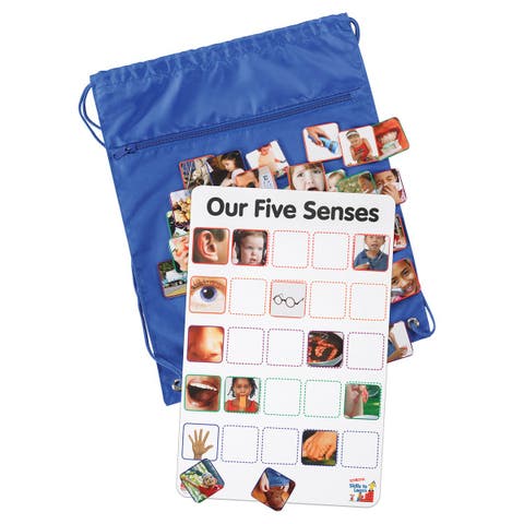 Our Five Senses Interactive Game