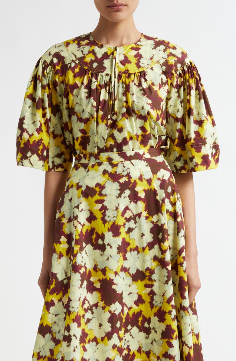 Ulla Johnson Lux Print Crop Top, Main, color, Acacia