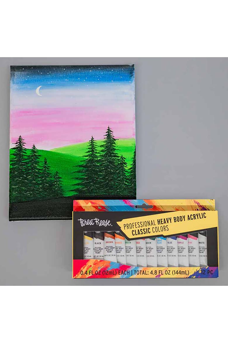 Professional Heavy Body Acrylic Paint Set 12 Tubes, Alternate, color, Multicolored
