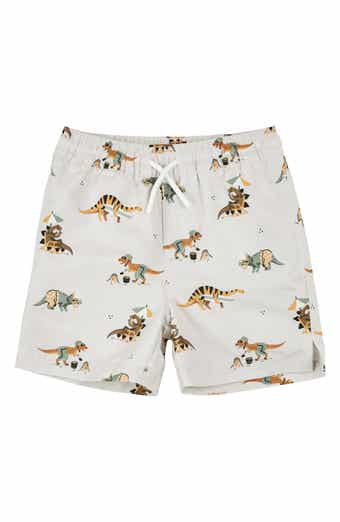 Kids' Beach Dinos Swim Trunks