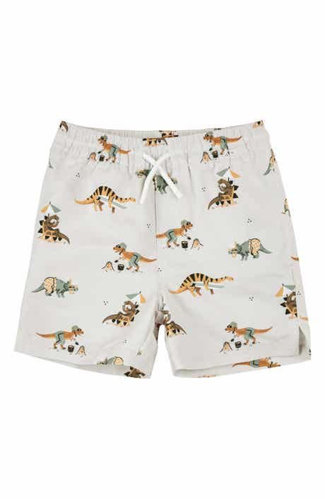Kids' Beach Dinos Swim Trunks