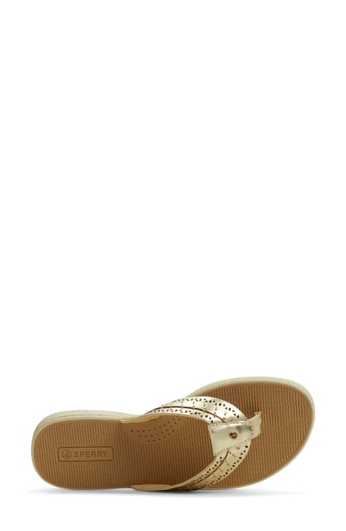 SPERRY SPERRY SEAFISH 3 PERFORATED FLIP FLOP