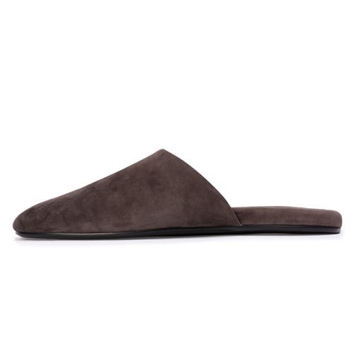 Black Suede Studio Shiloh Mule In Brown
