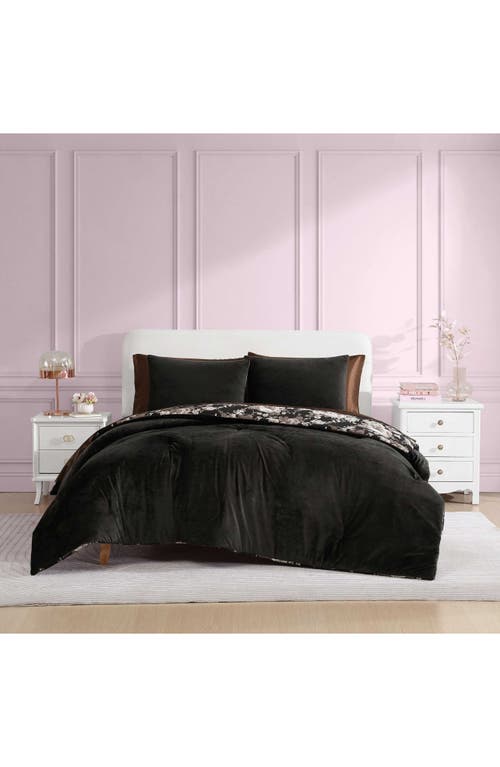 Betsey Johnson Velvet Solid Comforter & Sham Set In Black