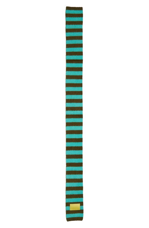 Susmie's Polar Stripe Scarf In Green